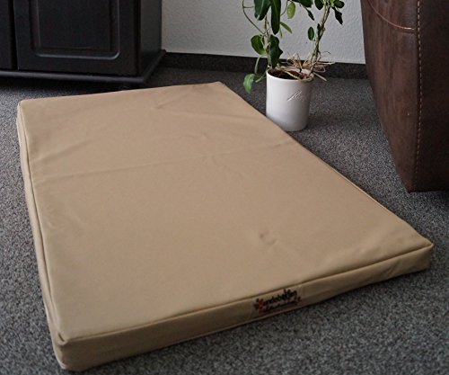 Hundebettenmanufaktur Hundematratze Hundebett Kunstleder Schaumstoff 5 cm Verschiedene Größen und Farben wählbar (120 cm X 80 cm, beige) von Hundebettenmanufaktur