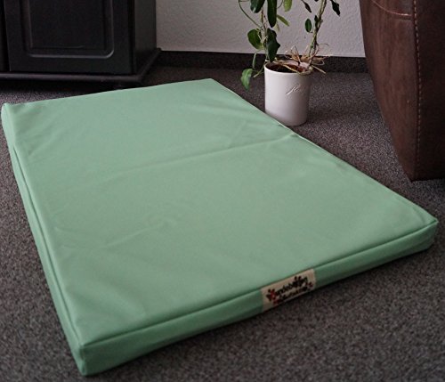 Hundebettenmanufaktur Hundematratze Hundebett Kunstleder Schaumstoff 5 cm Verschiedene Größen und Farben wählbar (120 cm X 80 cm, mintgrün) von Hundebettenmanufaktur