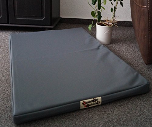 Hundebettenmanufaktur Orthopädische Hundematratze mit antiallergischer Kokosmatte Hundebett Kunstleder Größe und Farbe wählbar (100 cm X 60 cm, grau) von Hundebettenmanufaktur