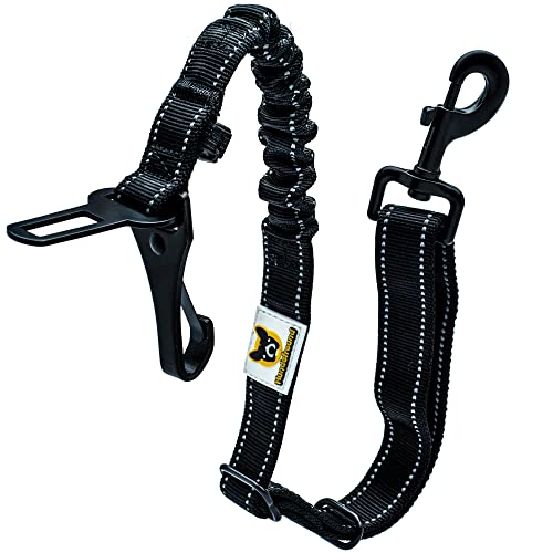 Hundefreund Hundegurt fürs Auto - Verstellbarer Sicherheitsgurt für Große und Mittelgroße Hunde mit Ruckdämpfer – Extra Sicherer Anschnallgurt für alle Autotypen (Schwarz) Hundefreund Hundegurt fürs Auto - Verstellbarer Sicherheitsgurt für Große und Mittelgroße Hunde mit Ruckdämpfer – Extra Sicherer Anschnallgurt für alle Autotypen (Schwarz) von Hundefreund