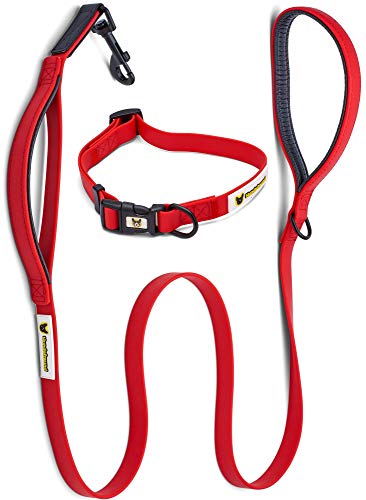 Hundefreund Hundeleine und Halsband im Set | PVC besonders Weich und Stabil | Rote Leine (1,5 m) mit Hundehalsband verstellbar (28-46 cm) von Hundefreund