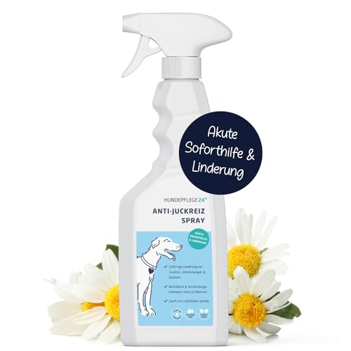 Hundepflege24 Anti Juckreiz Spray für Hunde 500ml - Akute Soforthilfe & wirksame Beruhigung bei Entzündung, Milben, Grasmilben, Pilzen, Flöhen - Haustierpflege Mittel gegen Juckreiz Hund Hundepflege24 Anti Juckreiz Spray für Hunde 500ml - Akute Soforthilfe & wirksame Beruhigung bei Entzündung, Milben, Grasmilben, Pilzen, Flöhen - Haustierpflege Mittel gegen Juckreiz Hund von Hundepflege24