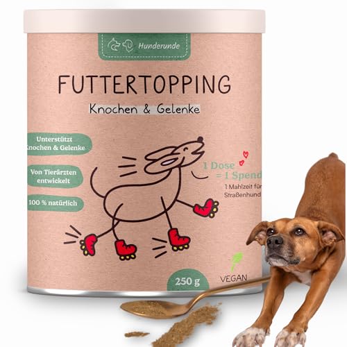Hunderunde – Futtertopping Knochen & Gelenke 250g – Beweglichkeit & Starke Knochen I Bierhefe MSM Hagebutte Omega‑3‑Alge Curcuma Rote‑Beete Algenkalk Hyaluronsäure Hunderunde – Futtertopping Knochen & Gelenke 250g – Beweglichkeit & Starke Knochen I Bierhefe MSM Hagebutte Omega‑3‑Alge Curcuma Rote‑Beete Algenkalk Hyaluronsäure von Hunderunde