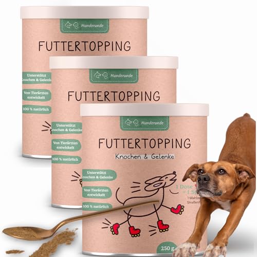 Hunderunde – Futtertopping Knochen & Gelenke 3x250g – Beweglichkeit & Starke Knochen I Bierhefe MSM Hagebutte Omega‑3‑Alge Curcuma Rote‑Beete Algenkalk Hyaluronsäure von Hunderunde