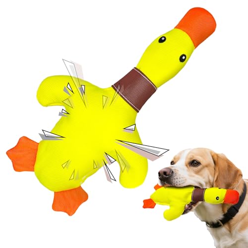 Hundespielzeug Unzerstörbar Ente Hundekuscheltier Welpenspielzeug Quietschend Plüsch Hunde Spielzeug für Welpen, kleine, mittlere, große Hunde Hundespielzeug Unzerstörbar Ente Hundekuscheltier Welpenspielzeug Quietschend Plüsch Hunde Spielzeug für Welpen, kleine, mittlere, große Hunde von Hundespielzeug