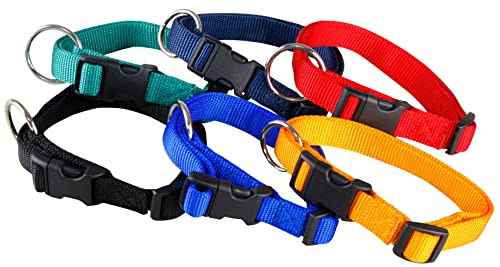Hunde Halsband größenverstellbar / 6 Farben und 3 Größen (S, M, L) / schwarz Größe M von Hundezubehör FreWe