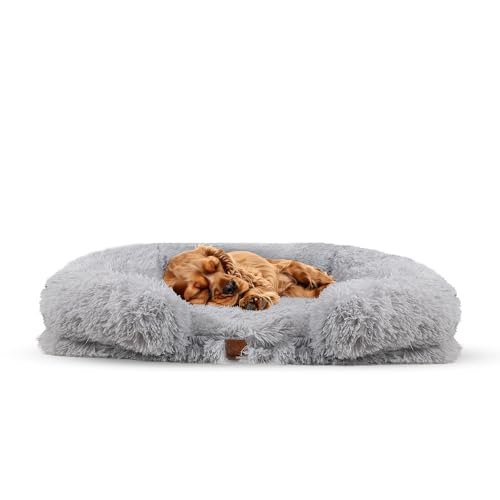 Hundino Hundebett orthopädisches und wasserdichtes Bett für Hunde – Hundebett 80 x 55 x 15 cm – abnehmbares und waschbares Hundebett, Grau, M von Hundino