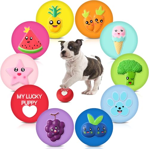 Hungdao Quietschspielzeug für Hunde, weiches Latex, kleine Quietschbälle, interaktives Kauspielzeug für Welpen, interaktives Apportieren, Spielzubehör (Obst) von Hungdao