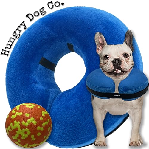 Hungry Dog Co Aufblasbares Premium-Hundehalsband und langlebiger Hundeball, hilft bei der Genesung des Haustiers, bequem und sicher für Ihr Haustier, weiches E-Halsband, Blau, Größe M (25,4 cm - 35,6 von Hungry Dog Co.