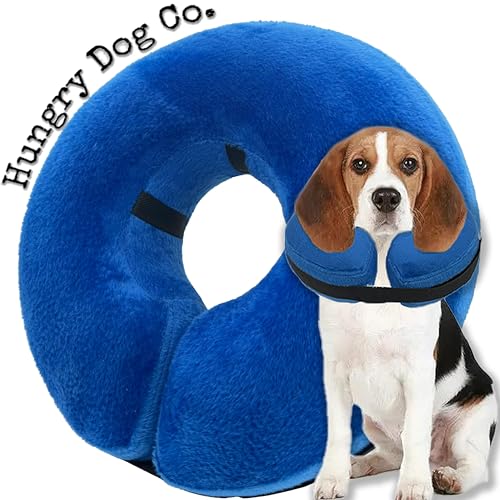 Hungry Dog Co. Aufblasbares Premium-Hundehalsband für Hunde und Katzen – hilft bei der Erholung des Haustieres – bequem und sicher für Ihr Haustier – verstellbar und weich – Blau – Größe L (Halsumfang von Hungry Dog Co.