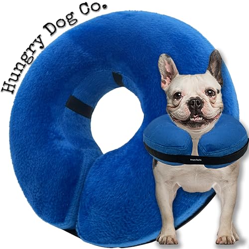 Hungry Dog Co. Aufblasbares Premium-Hundehalsband für Hunde und Katzen – hilft bei der Erholung von Haustieren – bequem und sicher für Ihr Haustier – verstellbar und weich – Blau – Größe M (20,3 cm - von Hungry Dog Co.