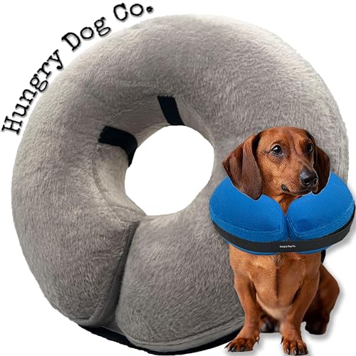 Hungry Dog Co. Aufblasbares Premium-Hundehalsband für Hunde und Katzen – hilft bei der Erholung von Haustieren – bequem und sicher für Ihr Haustier – verstellbar und weich – Grau – Größe S (12,7 cm - von Hungry Dog Co.