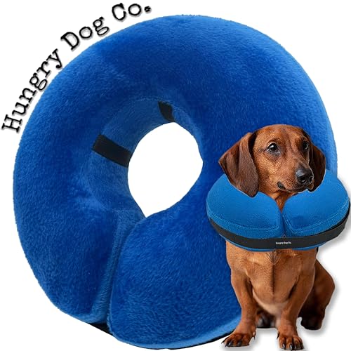 Hungry Dog Co. Aufblasbares Premium-Hundehalsband für Hunde und Katzen – hilft bei der Genesung von Haustieren – bequem und sicher für Ihr Haustier – verstellbar und weich – Blau – Größe S (12,7–22,9 von Hungry Dog Co.