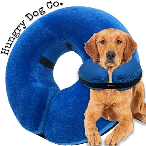 Hungry Dog Co. Aufblasbares Premium-Hundehalsband für Hunde und Katzen – hilft bei der Genesung von Haustieren – bequem und sicher für Ihr Haustier – verstellbar und weich – Blau – Größe XL (45,7–66 von Hungry Dog Co.