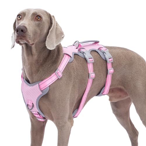 Huntboo Ausbruchsichere Geschirre für Hunde, No Escape Hundegeschirr, No Pull Hundegeschirr für Große Hunde mit Griff, Verstellbare Weste für Spaziergänge, Training und Laufsport (Rosa, XL) Huntboo Ausbruchsichere Geschirre für Hunde, No Escape Hundegeschirr, No Pull Hundegeschirr für Große Hunde mit Griff, Verstellbare Weste für Spaziergänge, Training und Laufsport (Rosa, XL) von Huntboo