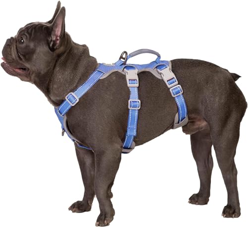 Huntboo Ausbruchsicheres Hundegeschirr, Sicherheitsgeschirr für Hunde, Vollständig Reflektierendes Geschirr mit Griff, Atmungsaktiv, Verstellbare Weste für Kleine Hunde, die Gehen (Vista blau, S) von Huntboo
