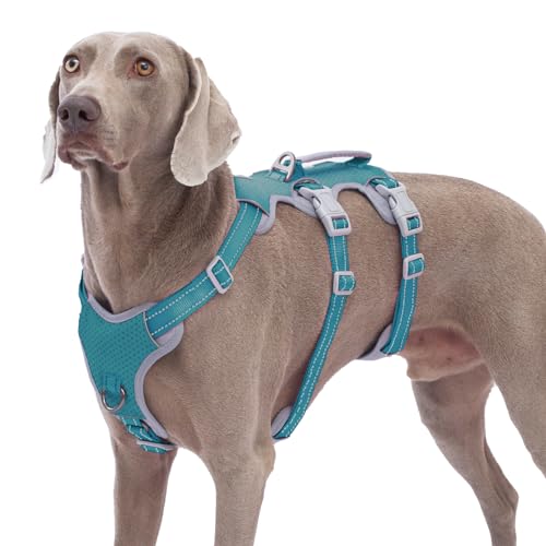 Huntboo Hunde Sicherheitsgeschirr,Hundegeschirr Ausbruchsicher, Hundegeschirr für Große Hunde No Pull mit Griff,Reflektierend, Atmungsaktiv,Langlebig,Verstellbare Weste für Spaziergänge (Blau, XL) Huntboo Hunde Sicherheitsgeschirr,Hundegeschirr Ausbruchsicher, Hundegeschirr für Große Hunde No Pull mit Griff,Reflektierend, Atmungsaktiv,Langlebig,Verstellbare Weste für Spaziergänge (Blau, XL) von Huntboo