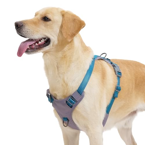 Huntboo Anti Zug Hundegeschirr für kleine mittelgroße Grosse Hunde, No Pull Geschirr, reflektierende Sicherheitsgeschirr mit 2 Leinenclips, kein Würgen, verstellbar für Training und Laufen(Blau,L) Huntboo Anti Zug Hundegeschirr für kleine mittelgroße Grosse Hunde, No Pull Geschirr, reflektierende Sicherheitsgeschirr mit 2 Leinenclips, kein Würgen, verstellbar für Training und Laufen(Blau,L) von Huntboo
