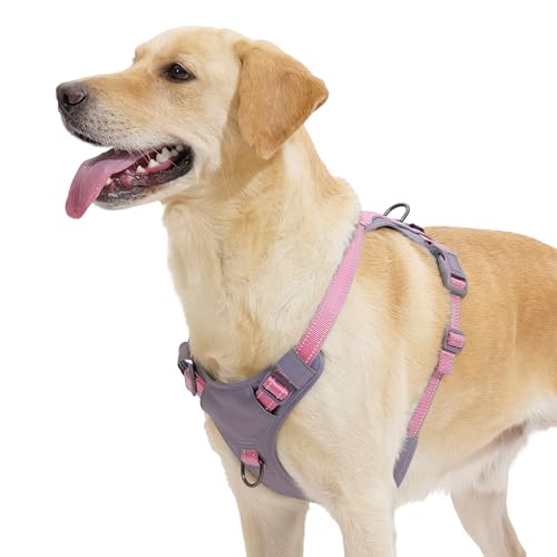 Huntboo Anti Zug Hundegeschirr für kleine mittelgroße Grosse Hunde, No Pull Geschirr, reflektierende Sicherheitsgeschirr mit 2 Leinenclips, kein Würgen, verstellbar für Training und Laufen(Rosa,M) Huntboo Anti Zug Hundegeschirr für kleine mittelgroße Grosse Hunde, No Pull Geschirr, reflektierende Sicherheitsgeschirr mit 2 Leinenclips, kein Würgen, verstellbar für Training und Laufen(Rosa,M) von Huntboo