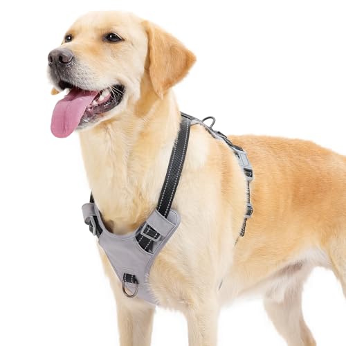 Huntboo Anti Zug Hundegeschirr für kleine mittelgroße grosse Hunde, No Pull Geschirr, reflektierende Sicherheitsgeschirr mit 2 Leinenclips, kein Würgen, verstellbar für Training und Laufen(Schwarz,XS) Huntboo Anti Zug Hundegeschirr für kleine mittelgroße grosse Hunde, No Pull Geschirr, reflektierende Sicherheitsgeschirr mit 2 Leinenclips, kein Würgen, verstellbar für Training und Laufen(Schwarz,XS) von Huntboo