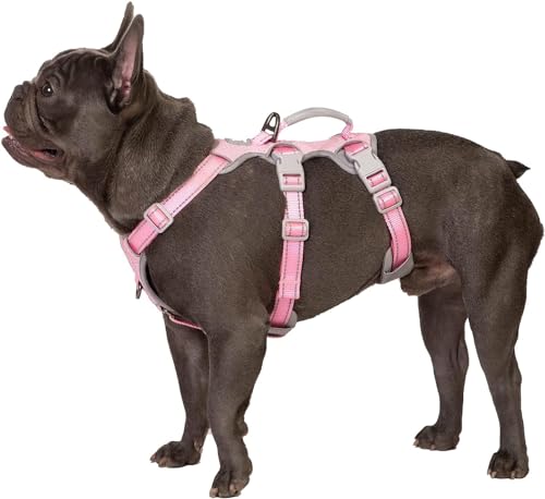 Huntboo Hunde Sicherheitsgeschirr, Ausbruchsicheres Hundegeschirr, Reflektierendes Geschirr mit Gepolstertem Griff, Verstellbare Weste für Kleine Hunde Zum Gassi Gehen, Trainieren (Rosa,S) von Huntboo