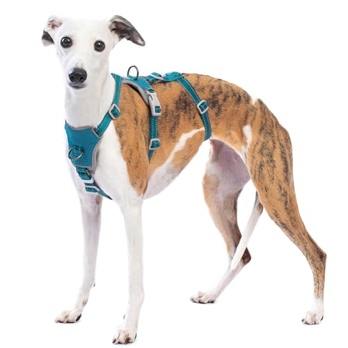 Huntboo Sicherheitsgeschirr Hund Ausbruchsicher, Panikgeschirr für Hunde, Anti Zug Hundegeschirr, Reflektierend, Verstellbare, Leichte Weste für kleine, mittelgroße und große Haustiere (Blau,M) von Huntboo