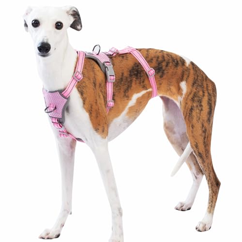 Huntboo Sicherheitsgeschirr Hund Ausbruchsicher, Panikgeschirr für Hunde, Anti Zug Hundegeschirr, Reflektierend, Verstellbare, Leichte Weste für kleine, mittelgroße und große Haustiere (Rosa,M) von Huntboo