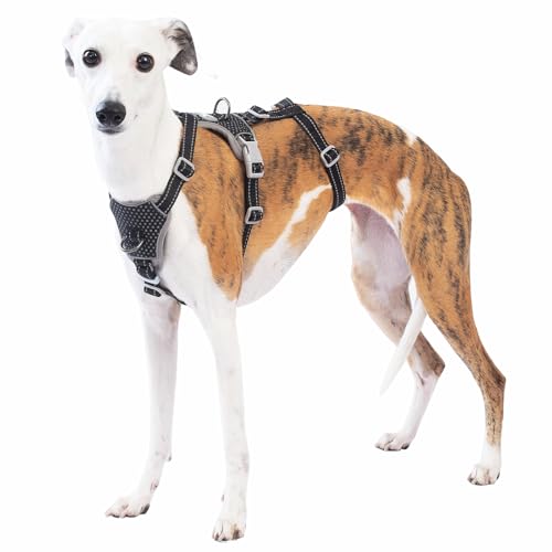 Huntboo Sicherheitsgeschirr Hund Ausbruchsicher, Panikgeschirr für Hunde, Anti Zug Hundegeschirr, Reflektierend, Verstellbare, Leichte Weste für kleine, mittelgroße und große Haustiere (Schwarz,XL) von Huntboo