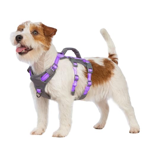Huntboo Sicherheitsgeschirr Hund Ausbruchsicher, Panikgeschirr für Hunde, Reflektierendes Geschirr Hund mit Griff, Verstellbare Hundegeschirr für kleine, mittelgroße und große Hunde (Lavendel Lila,XS) Huntboo Sicherheitsgeschirr Hund Ausbruchsicher, Panikgeschirr für Hunde, Reflektierendes Geschirr Hund mit Griff, Verstellbare Hundegeschirr für kleine, mittelgroße und große Hunde (Lavendel Lila,XS) von Huntboo