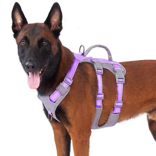 Huntboo Sicherheitsgeschirr Hund Ausbruchsicher, Panikgeschirr für Hunde, Reflektierendes Geschirr Hund mit Griff, Verstellbare Hundegeschirr für kleine, mittelgroße und große Hunde (Lavendel Lila,L) Huntboo Sicherheitsgeschirr Hund Ausbruchsicher, Panikgeschirr für Hunde, Reflektierendes Geschirr Hund mit Griff, Verstellbare Hundegeschirr für kleine, mittelgroße und große Hunde (Lavendel Lila,L) von Huntboo