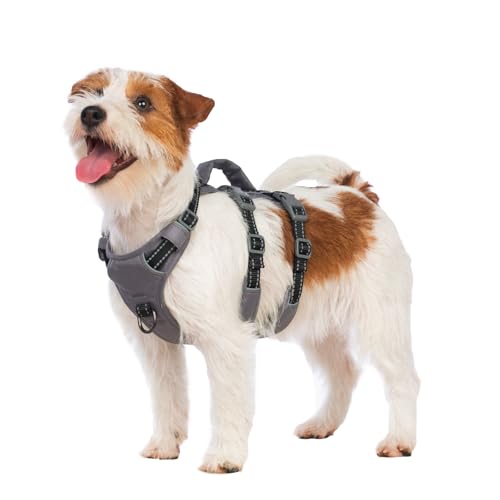 Huntboo Sicherheitsgeschirr Hund Ausbruchsicher, Panikgeschirr für Hunde, Reflektierendes Geschirr Hund mit Griff, Verstellbare Hundegeschirr für kleine, mittelgroße und große Hunde (Schwarz,S) von Huntboo