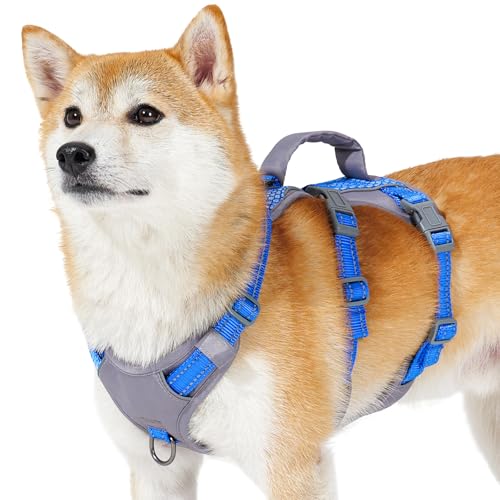 Huntboo Sicherheitsgeschirr Hund Ausbruchsicher, Panikgeschirr für Hunde, Reflektierendes Geschirr Hund mit Griff, Verstellbare Hundegeschirr für kleine, mittelgroße und große Hunde (Meeresblau,S) Huntboo Sicherheitsgeschirr Hund Ausbruchsicher, Panikgeschirr für Hunde, Reflektierendes Geschirr Hund mit Griff, Verstellbare Hundegeschirr für kleine, mittelgroße und große Hunde (Meeresblau,S) von Huntboo