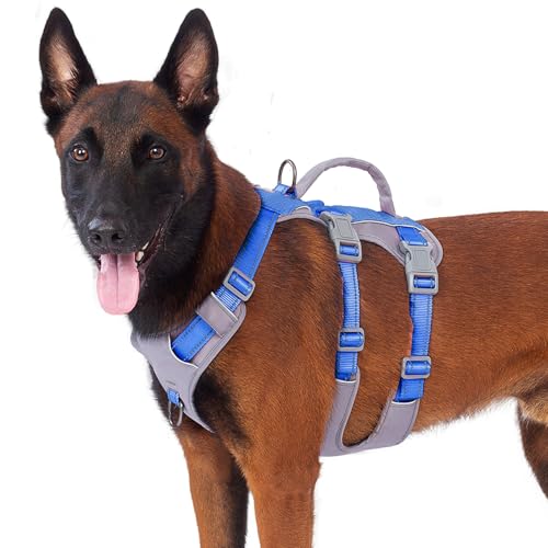 Huntboo Sicherheitsgeschirr Hund Ausbruchsicher, Panikgeschirr für Hunde, Reflektierendes Geschirr Hund mit Griff, Verstellbare Hundegeschirr für kleine, mittelgroße und große Hunde (Meeresblau,L) Huntboo Sicherheitsgeschirr Hund Ausbruchsicher, Panikgeschirr für Hunde, Reflektierendes Geschirr Hund mit Griff, Verstellbare Hundegeschirr für kleine, mittelgroße und große Hunde (Meeresblau,L) von Huntboo