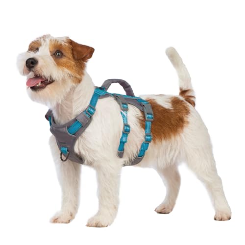 Huntboo Sicherheitsgeschirr Hund Ausbruchsicher, Panikgeschirr für Hunde, Reflektierendes Geschirr Hund mit Griff, Verstellbare Hundegeschirr für kleine, mittelgroße und große Hunde (Blaugrün,XS) Huntboo Sicherheitsgeschirr Hund Ausbruchsicher, Panikgeschirr für Hunde, Reflektierendes Geschirr Hund mit Griff, Verstellbare Hundegeschirr für kleine, mittelgroße und große Hunde (Blaugrün,XS) von Huntboo