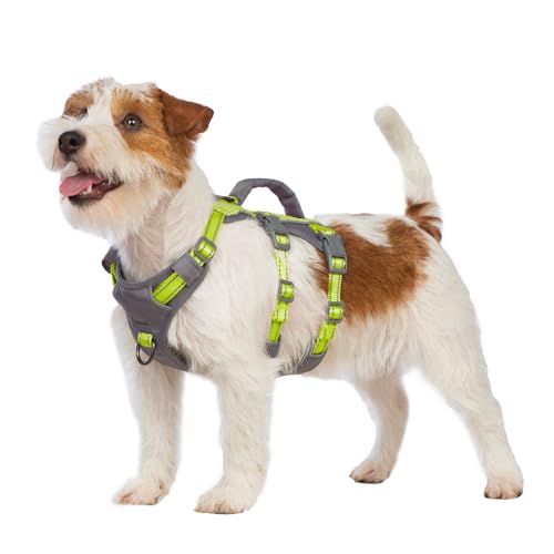 Huntboo Sicherheitsgeschirr Hund Ausbruchsicher, Panikgeschirr für Hunde, Reflektierendes Geschirr Hund mit Griff, Verstellbare Hundegeschirr für kleine, mittelgroße und große Hunde (Hellgrün,XS) Huntboo Sicherheitsgeschirr Hund Ausbruchsicher, Panikgeschirr für Hunde, Reflektierendes Geschirr Hund mit Griff, Verstellbare Hundegeschirr für kleine, mittelgroße und große Hunde (Hellgrün,XS) von Huntboo