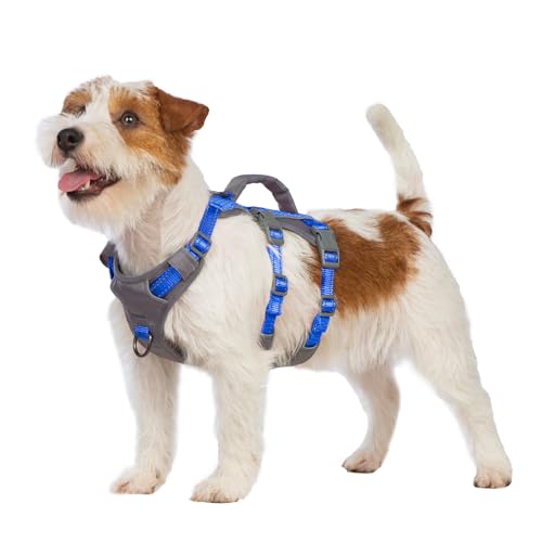 Huntboo Sicherheitsgeschirr Hund Ausbruchsicher, Panikgeschirr für Hunde, Reflektierendes Geschirr Hund mit Griff, Verstellbare Hundegeschirr für kleine, mittelgroße und große Hunde (Meeresblau,XS) Huntboo Sicherheitsgeschirr Hund Ausbruchsicher, Panikgeschirr für Hunde, Reflektierendes Geschirr Hund mit Griff, Verstellbare Hundegeschirr für kleine, mittelgroße und große Hunde (Meeresblau,XS) von Huntboo