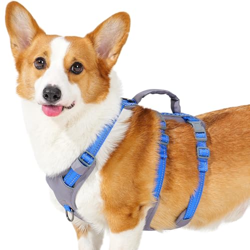 Huntboo Sicherheitsgeschirr Hund Ausbruchsicher, Panikgeschirr für Hunde, Reflektierendes Geschirr Hund mit Griff, Verstellbare Hundegeschirr für kleine, mittelgroße und große Hunde (Meeresblau,M) Huntboo Sicherheitsgeschirr Hund Ausbruchsicher, Panikgeschirr für Hunde, Reflektierendes Geschirr Hund mit Griff, Verstellbare Hundegeschirr für kleine, mittelgroße und große Hunde (Meeresblau,M) von Huntboo