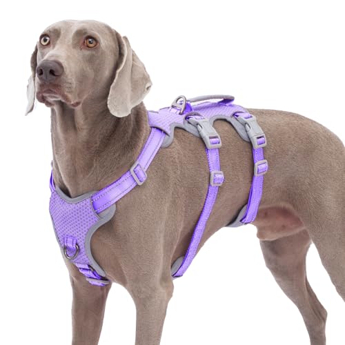 Huntboo Sicherheitsgeschirr Hund Ausbruchsicher, Panikgeschirr für Hunde, Reflektierendes Geschirr mit Gepolstertem Griff, Verstellbare Weste für Große Hunde, die Spazieren Gehen (Lavendel Lila,XL) Huntboo Sicherheitsgeschirr Hund Ausbruchsicher, Panikgeschirr für Hunde, Reflektierendes Geschirr mit Gepolstertem Griff, Verstellbare Weste für Große Hunde, die Spazieren Gehen (Lavendel Lila,XL) von Huntboo