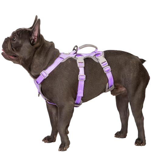 Huntboo Sicherheitsgeschirr Hund Ausbruchsicher, Panikgeschirr für Hunde, Reflektierendes Geschirr mit Gepolstertem Griff, Verstellbare Weste für Kleine Hunde, die Spazieren Gehen (Lavendel Lila,S) von Huntboo