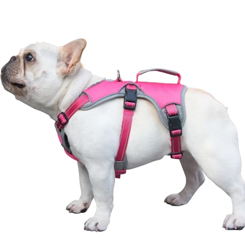 Huntboo sicherheitsgeschirr Hund Ausbruchsicher, Panikgeschirr für Hunde, Reflektierendes Geschirr mit Griff, Verstellbare Hundegeschirr für Mittlegroße Große Hunde zum Training Laufen (Rosarot, M) Huntboo sicherheitsgeschirr Hund Ausbruchsicher, Panikgeschirr für Hunde, Reflektierendes Geschirr mit Griff, Verstellbare Hundegeschirr für Mittlegroße Große Hunde zum Training Laufen (Rosarot, M) von Huntboo