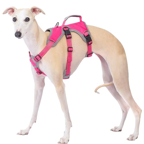 Huntboo sicherheitsgeschirr Hund Ausbruchsicher, Panikgeschirr für Hunde, Reflektierendes Geschirr mit Griff, Verstellbare Hundegeschirr für Mittlegroße Große Hunde zum Training Laufen (Rosarot, L) Huntboo sicherheitsgeschirr Hund Ausbruchsicher, Panikgeschirr für Hunde, Reflektierendes Geschirr mit Griff, Verstellbare Hundegeschirr für Mittlegroße Große Hunde zum Training Laufen (Rosarot, L) von Huntboo