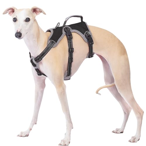 Huntboo sicherheitsgeschirr Hund Ausbruchsicher, Panikgeschirr für Hunde, Reflektierendes Geschirr mit Griff, Verstellbare Hundegeschirr für Mittlegroße Große Hunde zum Training Laufen (Schwarz, L) Huntboo sicherheitsgeschirr Hund Ausbruchsicher, Panikgeschirr für Hunde, Reflektierendes Geschirr mit Griff, Verstellbare Hundegeschirr für Mittlegroße Große Hunde zum Training Laufen (Schwarz, L) von Huntboo