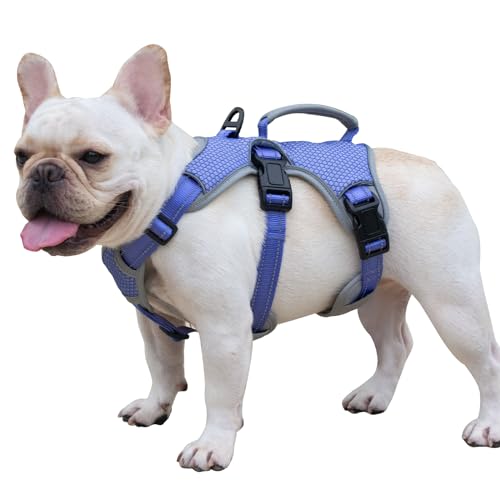 Huntboo sicherheitsgeschirr Hund Ausbruchsicher, Panikgeschirr für Hunde, Reflektierendes Geschirr mit Griff, Verstellbare Hundegeschirr für Mittlegroße Große Hunde zum Training Laufen (Lila, L) Huntboo sicherheitsgeschirr Hund Ausbruchsicher, Panikgeschirr für Hunde, Reflektierendes Geschirr mit Griff, Verstellbare Hundegeschirr für Mittlegroße Große Hunde zum Training Laufen (Lila, L) von Huntboo