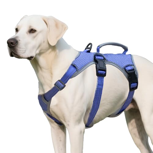 Huntboo sicherheitsgeschirr Hund Ausbruchsicher, Panikgeschirr für Hunde, Reflektierendes Geschirr mit Griff, Verstellbare Hundegeschirr für Mittlegroße Große Hunde zum Training Laufen (Lila, XL) Huntboo sicherheitsgeschirr Hund Ausbruchsicher, Panikgeschirr für Hunde, Reflektierendes Geschirr mit Griff, Verstellbare Hundegeschirr für Mittlegroße Große Hunde zum Training Laufen (Lila, XL) von Huntboo