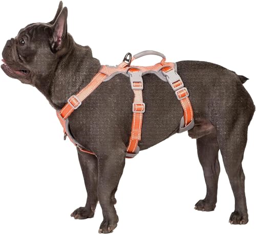 Huntboo Sicherheitsgeschirr Hund Ausbruchsicher, Panikgeschirr für Hunde, Reflektierendes Geschirr mit Gepolstertem Griff, Verstellbare Weste für Kleine Hunde, die Spazieren Gehen (Orange,S) von Huntboo