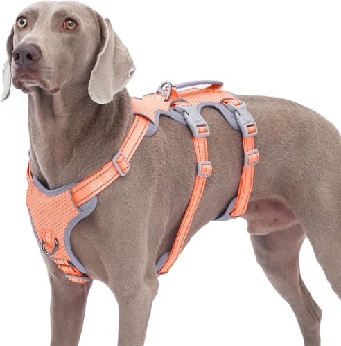 Huntboo Sicherheitsgeschirr Hund Ausbruchsicher,Sicheres Hundegeschirr No Escape,Reflektierendes Geschirr mit Gepolstertem Griff,Verstellbare Weste für Große Hund,die Spazieren Gehen(Orange,L) Huntboo Sicherheitsgeschirr Hund Ausbruchsicher,Sicheres Hundegeschirr No Escape,Reflektierendes Geschirr mit Gepolstertem Griff,Verstellbare Weste für Große Hund,die Spazieren Gehen(Orange,L) von Huntboo