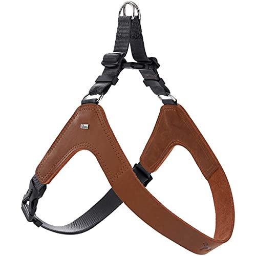 HUNTER Hundegeschirr DIMARO, Farbe: Cognac, weiches & Robustes Rindsleder, hervorragende Passform, leicht anzulegen, stufenlos verstellbar, ideal für Welpen & kopfscheue Hunde, Größe: XS-S HUNTER Hundegeschirr DIMARO, Farbe: Cognac, weiches & Robustes Rindsleder, hervorragende Passform, leicht anzulegen, stufenlos verstellbar, ideal für Welpen & kopfscheue Hunde, Größe: XS-S von HUNTER