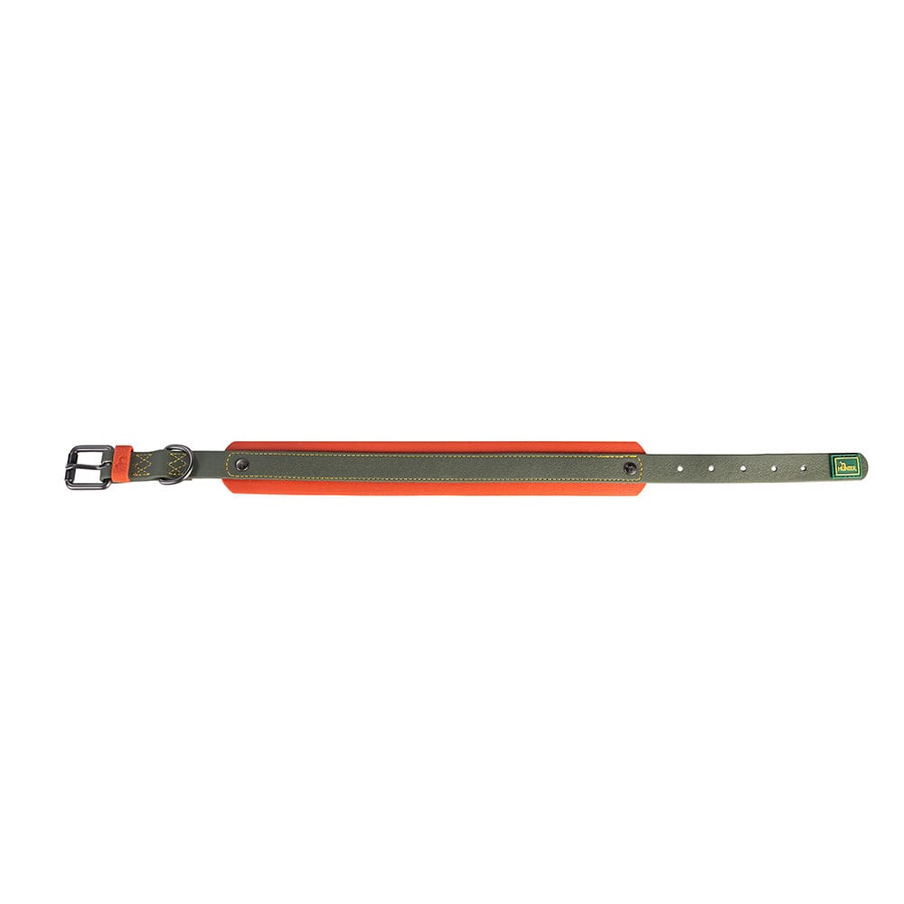 HUNTER Hunde-Halsband Havanna grün/orange, Gr. 55, Breite: ca. 4 cm, Länge: ca. 42 - 50 cm von Hunter