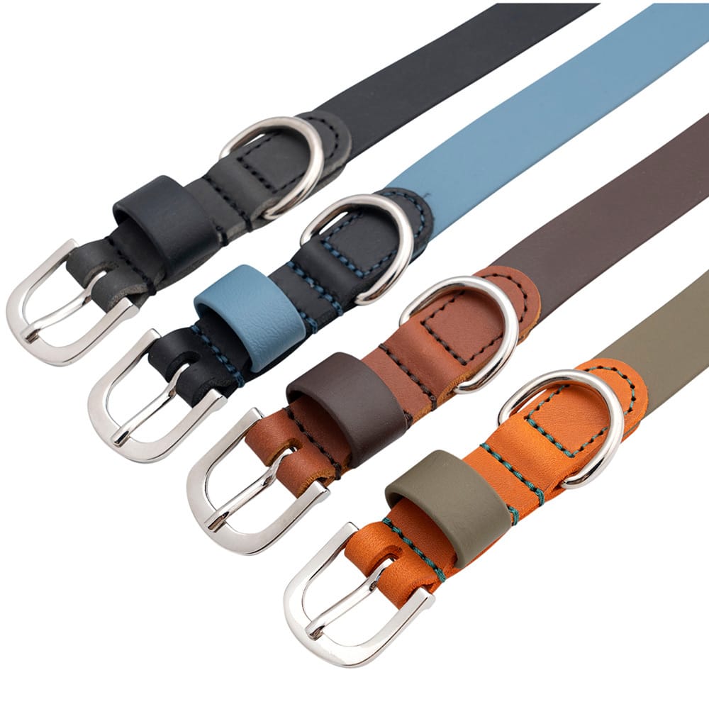 HUNTER Hunde-Halsband Wolmar khaki/orange, Gr. 40, Breite: ca. 1,9 cm, Halsweite: ca. 28 - 34 cm HUNTER Hunde-Halsband Wolmar khaki/orange, Gr. 40, Breite: ca. 1,9 cm, Halsweite: ca. 28 - 34 cm von Hunter