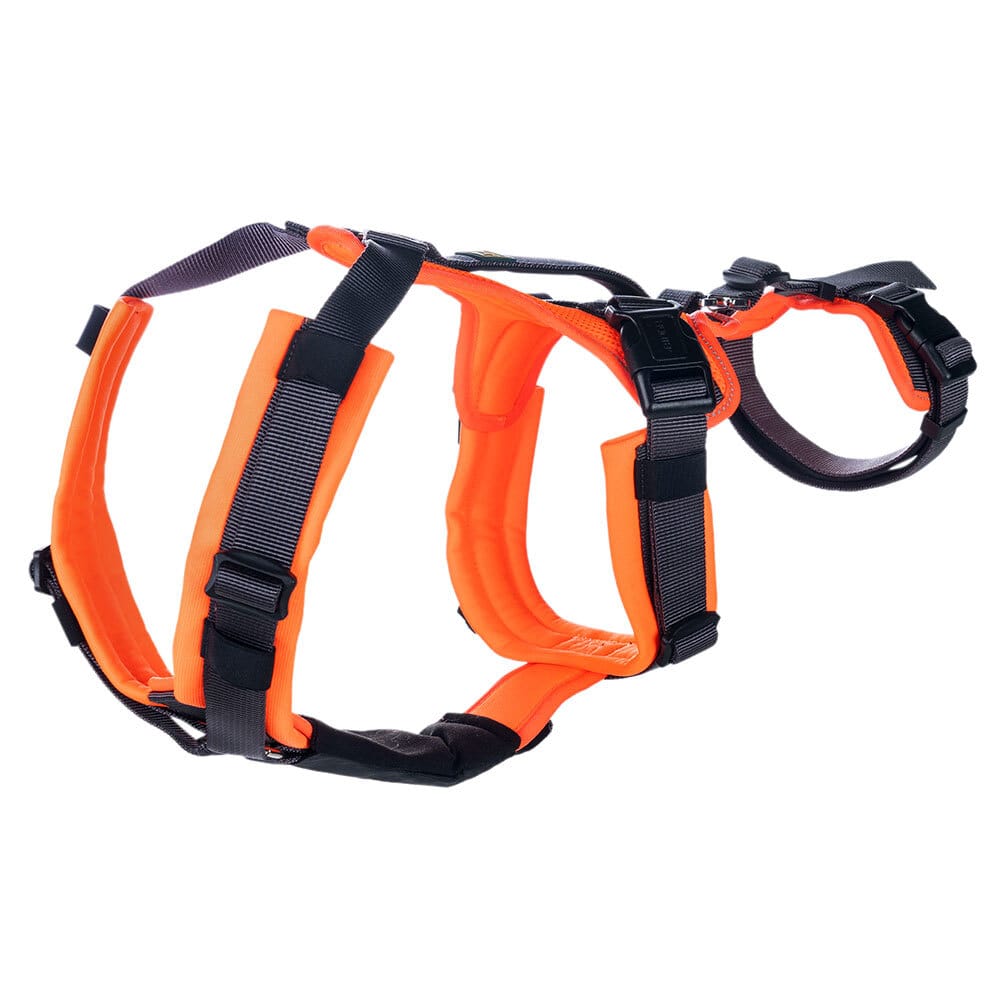 HUNTER Hunde Sicherheitsgeschirr Maldon orange/grau, Gr. XS-S, Breite: ca. 2 cm, Bauchumfang: ca. 37 - 53 cm, Halsweite: ca. 38 - 62 cm HUNTER Hunde Sicherheitsgeschirr Maldon orange/grau, Gr. XS-S, Breite: ca. 2 cm, Bauchumfang: ca. 37 - 53 cm, Halsweite: ca. 38 - 62 cm von Hunter